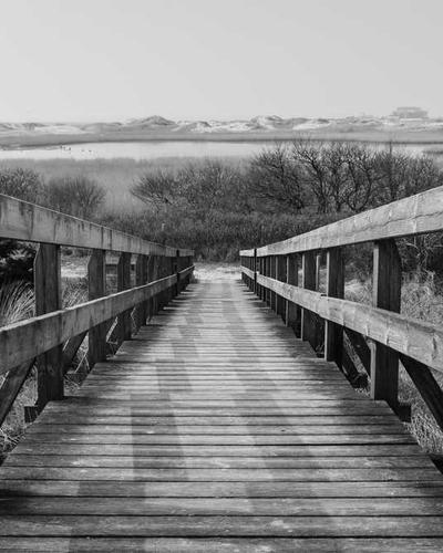 Ansiedade e Crises de Pânico